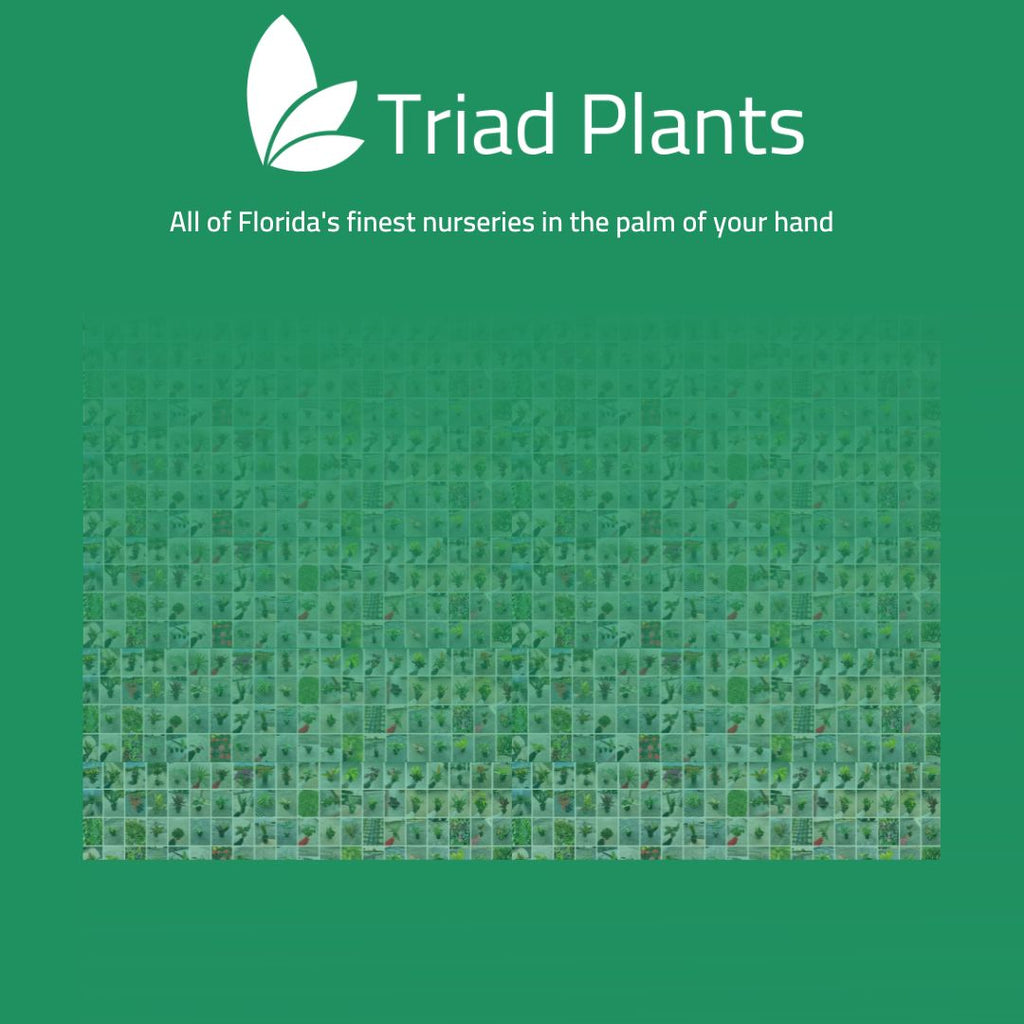 Triad plants inventory