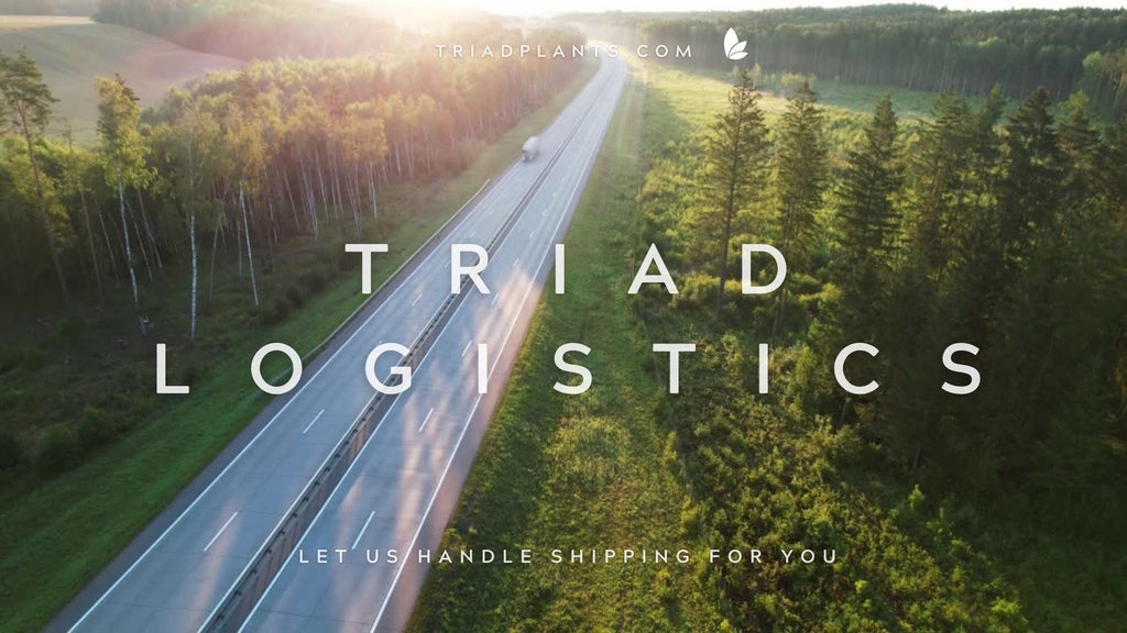 Triad Logistics and shipping