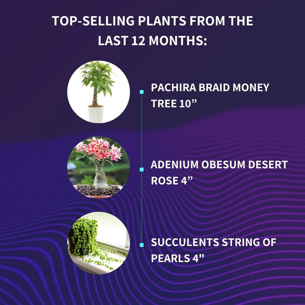 Best Tropical Plants Sellers & Newly Popular Plants