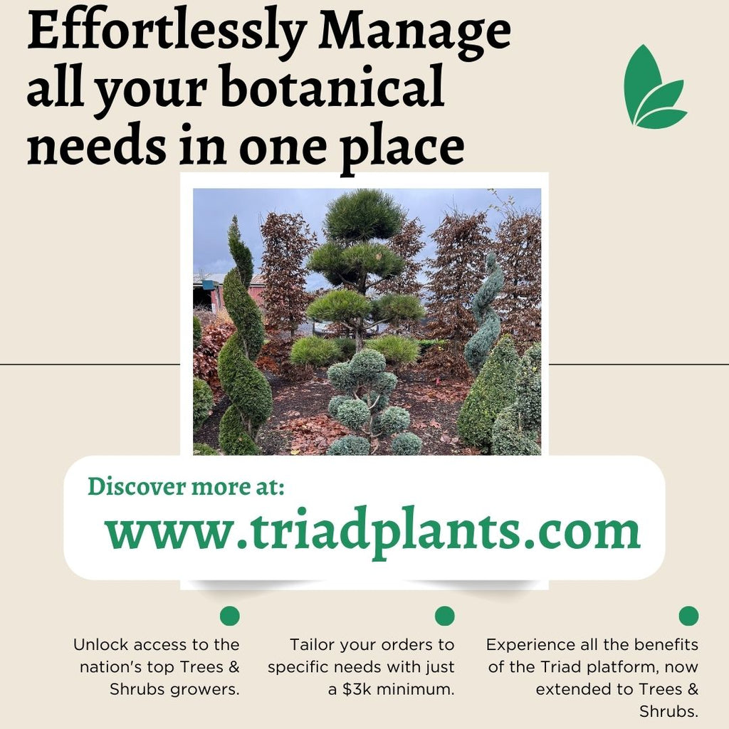 Introducing Trees and Shrubs