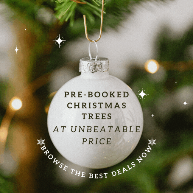 Unbeatable Prices for Pre-Booked Christmas Trees